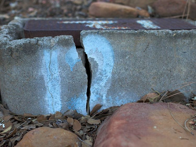 A cracked concrete water meter box set in the ground between bricks and dry leaves